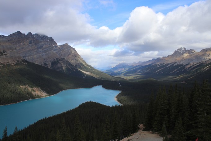 Lac Peyto